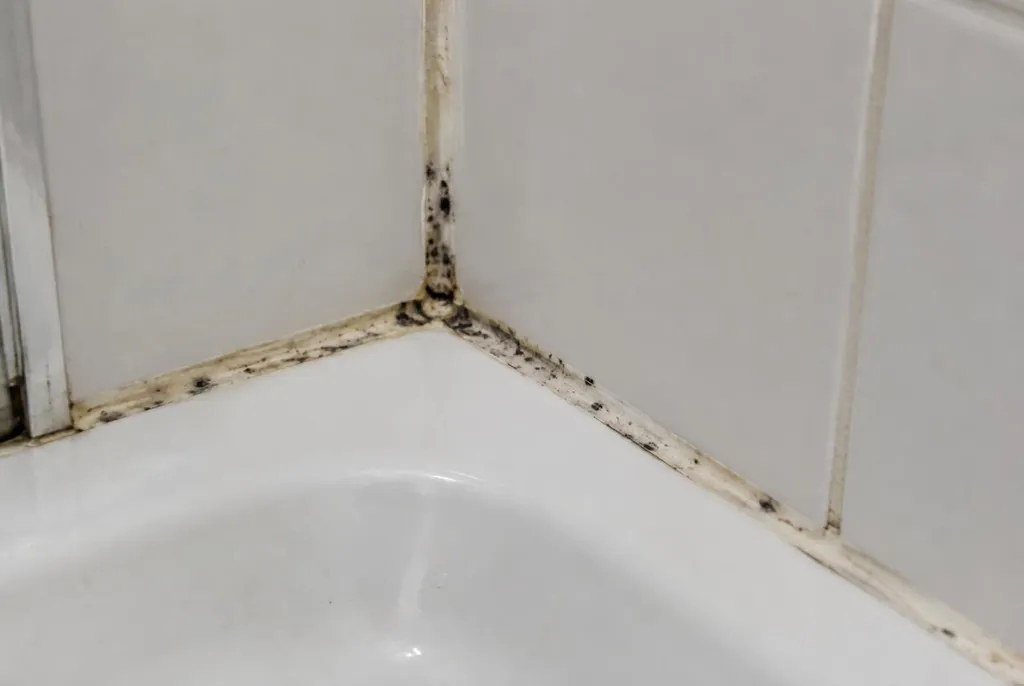 Kitbedrijf Uddel – beschimmelde kitranden